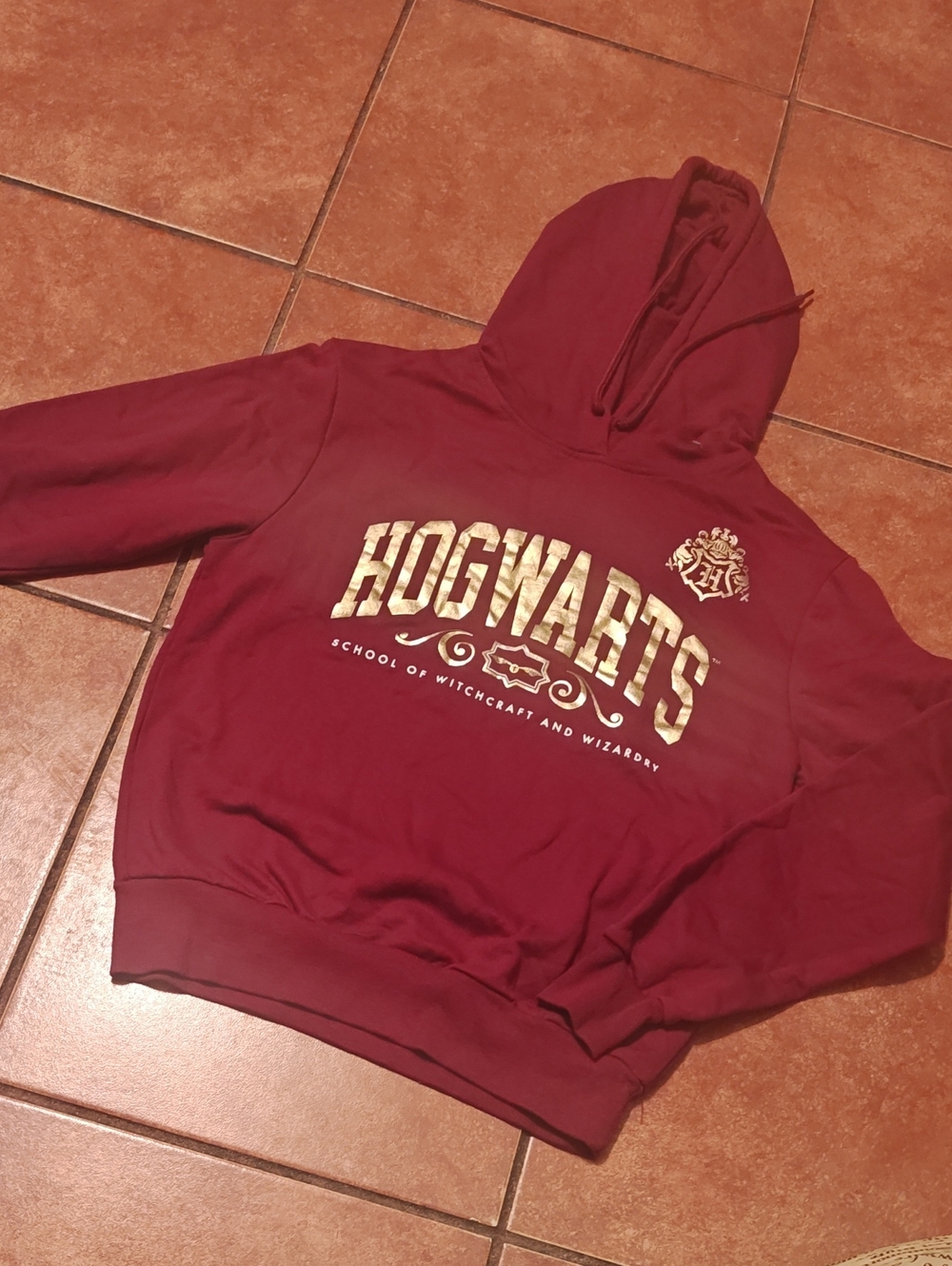 Hogwarts Maroon Pullover Hoodie with Gold Crest